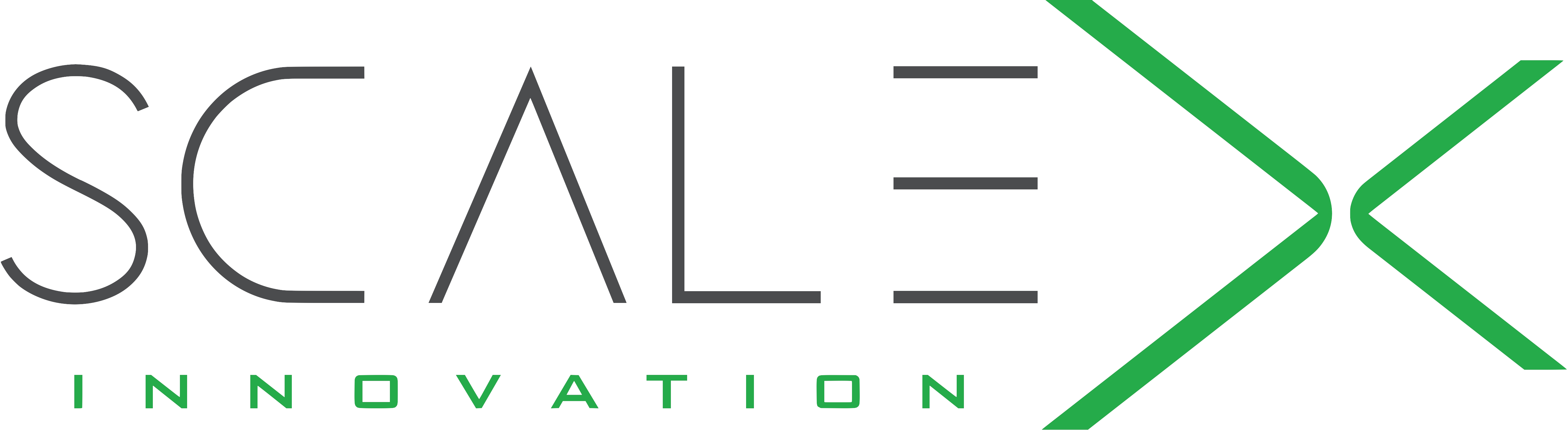 ScaleX
